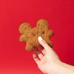 GALLETA NAVIDEÑA