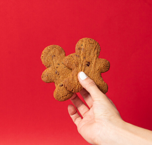 GALLETA NAVIDEÑA